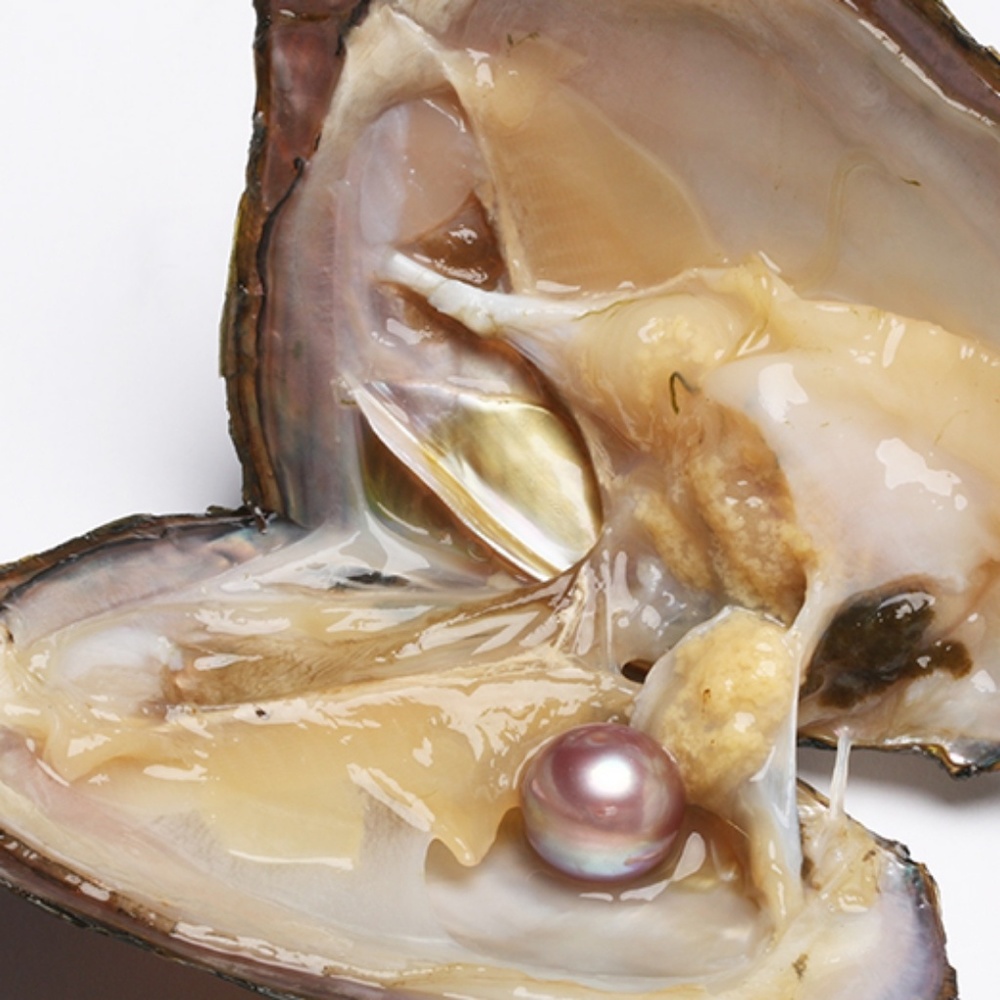 Open a genuine high value pearl